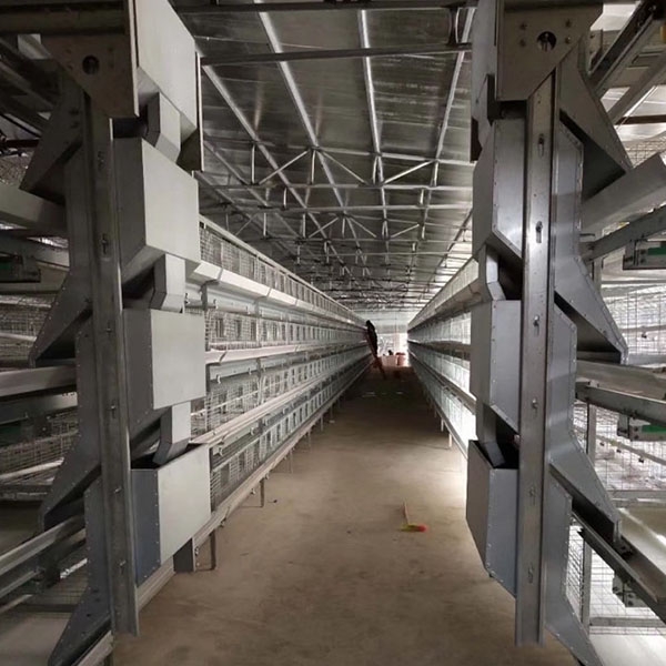 Four-layer frame broiler cage