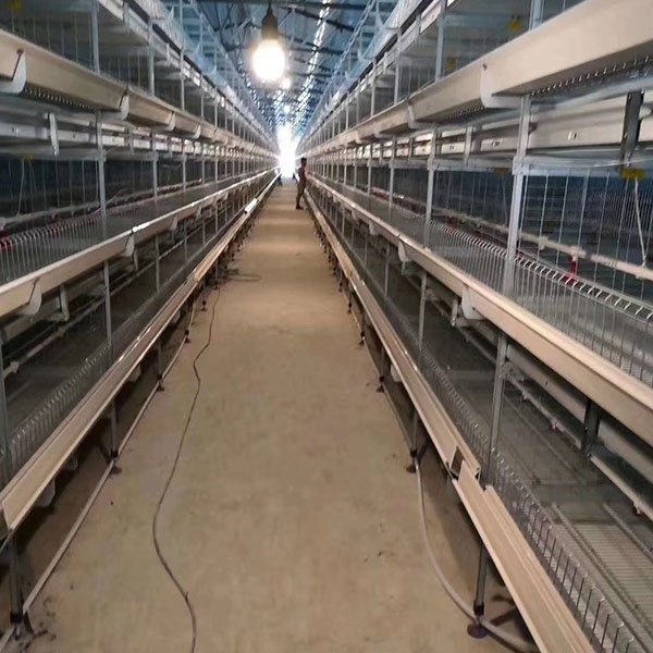 Four-layer frame broiler cage