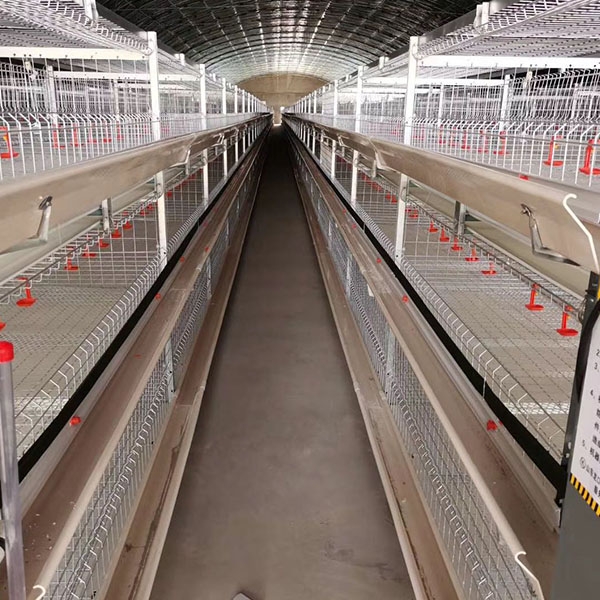 Three-tier frame broiler cage