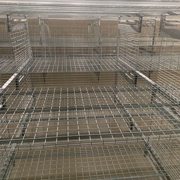 Frame type broiler cage