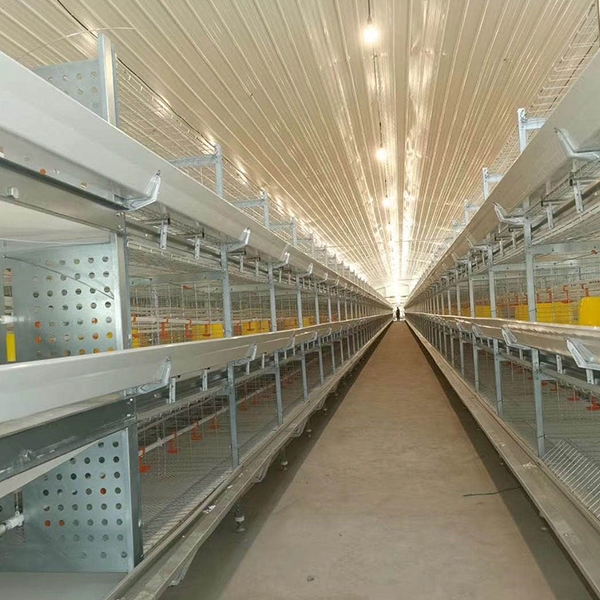 Frame type broiler cage